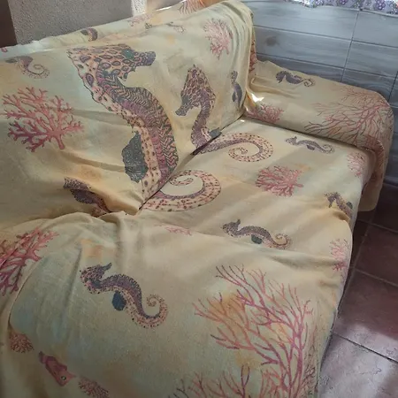 Ndiscialamu פאלמי