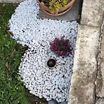 Tatil Evi Ndiscialamu *