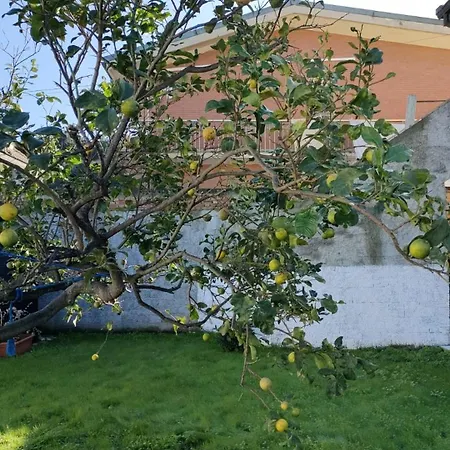 Ndiscialamu Dom wakacyjny Palmi