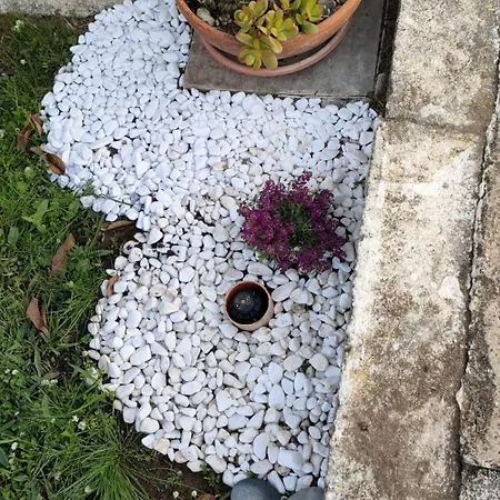 Nyaraló Ndiscialamu *