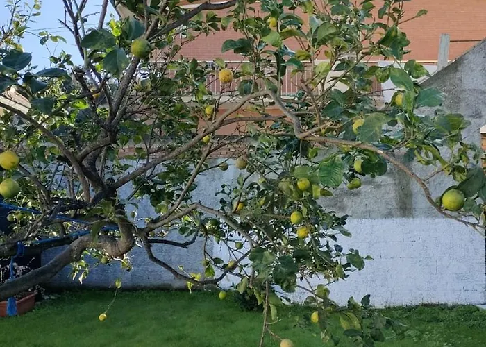 Ndiscialamu Casa de Férias Palmi